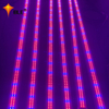 Wasserdichtes 60-Watt-Linear-LED-Wachstumslicht für Orchideen