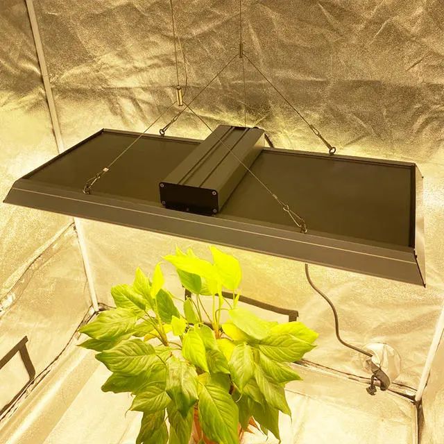 Niedrigenergie-Gartenbau-LED-Wachstumslicht für Tomaten