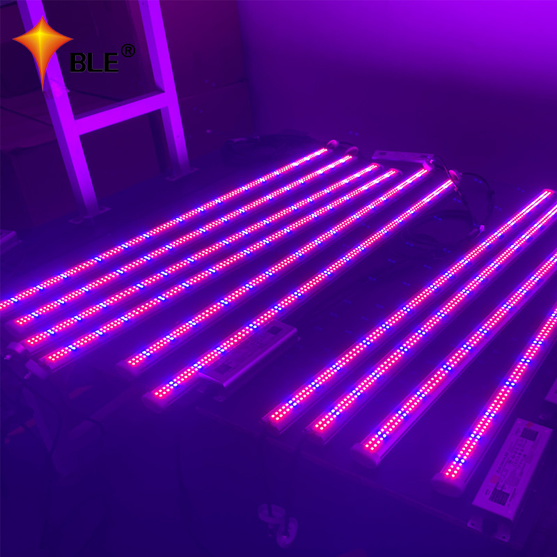Hochleistungs-60-Watt-Linear-LED-Wachstumslicht für Orchideen