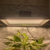 Gartenbau 400 Watt LED wächst Licht für Chilis