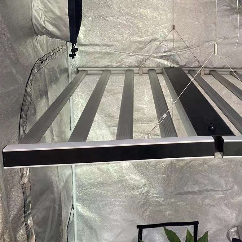 Indoor 1000w Led wachsen Licht für Succulents
