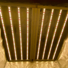 LED-Hersteller 1000W Pro-Spinne-LED Wachsen Sie Licht