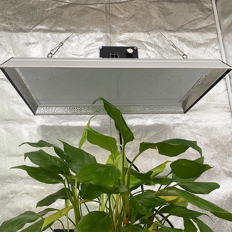 Wasserdichtes Indoor-LED-Wachstumslicht für Tomaten