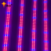Landwirtschaftliches 40-Watt-Linear-LED-Wachstumslicht für Topfpflanzen