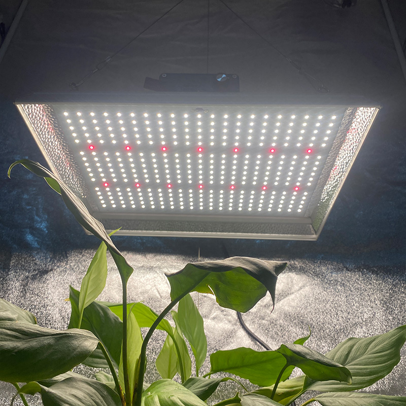Low Energy hydroponischen Led wachsen Licht für Tomaten