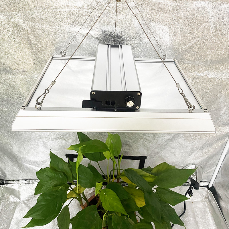 Gartenbau 100W LED wächst Licht für Topfpflanzen