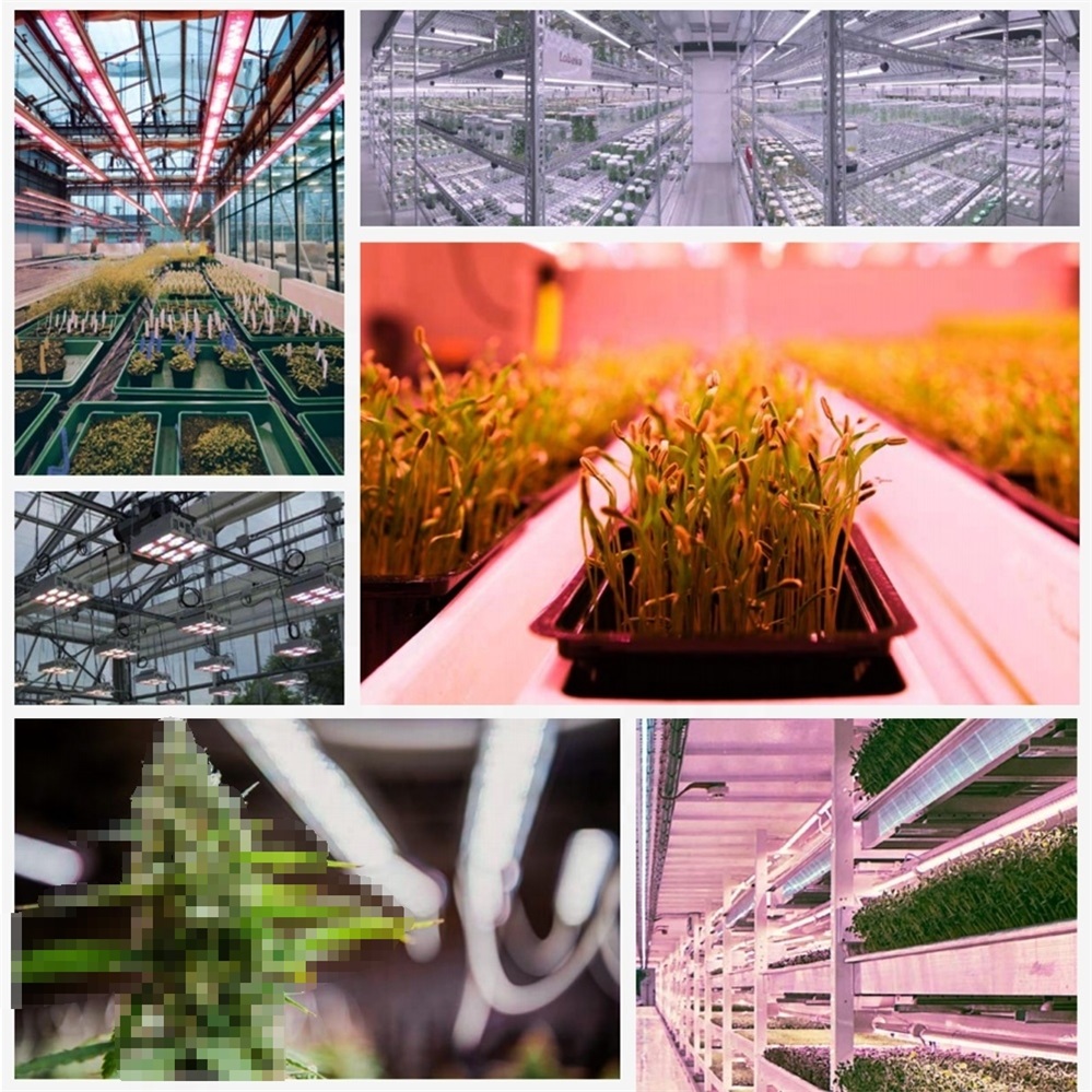 Wasserdichtes 100-W-Linear-LED-Wachstumslicht für Topfpflanzen