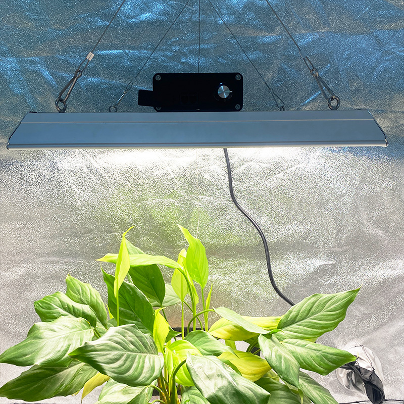 Garden 100w LED Grow Light für Topfpflanzen