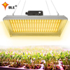 Hydroponisches 100w LED-Wachstumslicht für Topfpflanzen